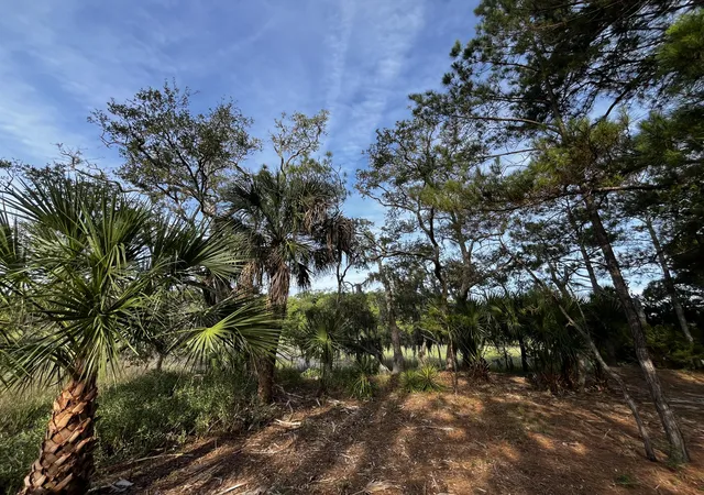Homes for sale in Saint Helena Island, SC | 64 Harbor Breeze Dr, Saint Helena Island, SC 29920 | MLS# 26017060