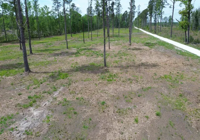 16th image of 2 Hwy 27, Holly Hill, SC 29059 | MLS# 26010480