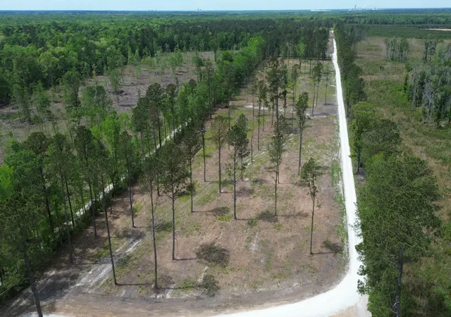 1st image of 2 Hwy 27, Holly Hill, SC 29059 | MLS# 26010480