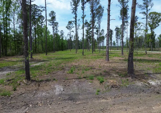 2nd image of 2 Hwy 27, Holly Hill, SC 29059 | MLS# 26010480