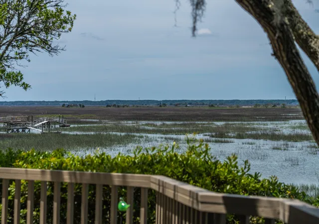 Homes for sale in Isle Of Palms, SC | 12 Marsh Island Ln, Isle Of Palms, SC 29451 | MLS# 26018893
