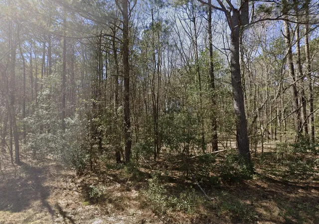 3rd image of 0 Barnhart Dr, Orangeburg, SC 29115 | MLS# 26022775