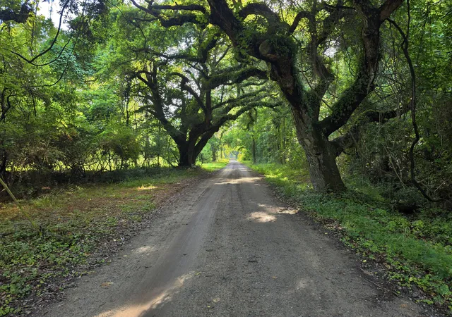 Photo 1 of Land for sale at 328 Drayton St, Mc Clellanville, SC 29458 | MLS# 26020728 | Listing updated on 2026-09-08