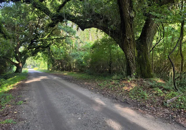 Photo 2 of Land for sale at 328 Drayton St, Mc Clellanville, SC 29458 | MLS# 26020728 | Listing updated on 2026-09-08
