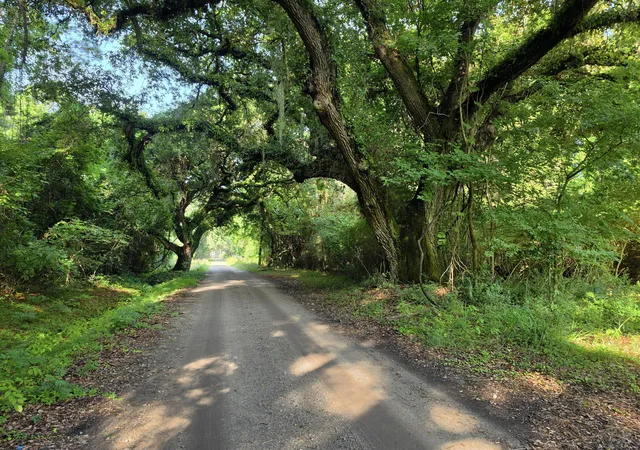 Photo 3 of Land for sale at 328 Drayton St, Mc Clellanville, SC 29458 | MLS# 26020728 | Listing updated on 2026-09-08