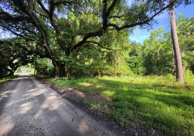 Photo 3 of Land for sale at 328 Drayton St, Mc Clellanville, SC 29458 | MLS# 26020728 | Listing updated on 2026-09-08