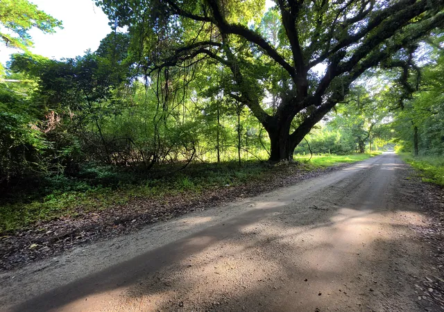 Photo 4 of Land for sale at 328 Drayton St, Mc Clellanville, SC 29458 | MLS# 26020728 | Listing updated on 2026-09-08
