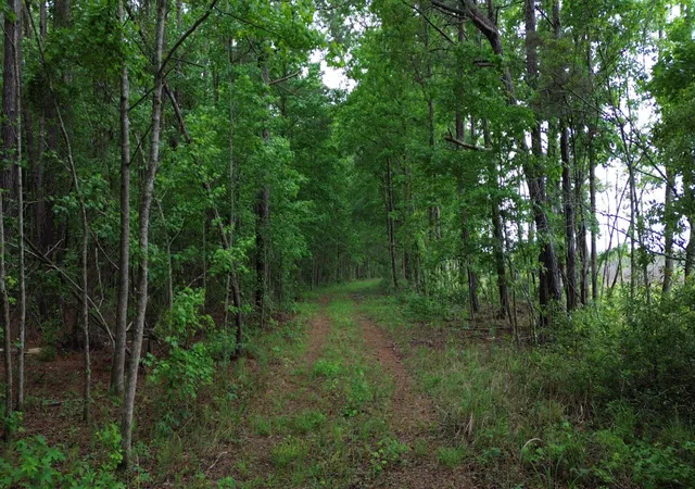 Homes for sale in Lane, SC | 0 Pineview Farm Rd, Lane, SC 29564 | MLS# 26015322