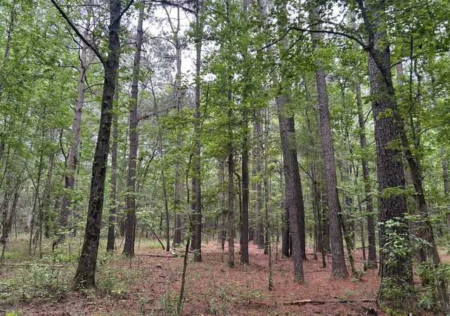 Homes for sale in Lane, SC | 0 Pineview Farm Rd, Lane, SC 29564 | MLS# 26015322