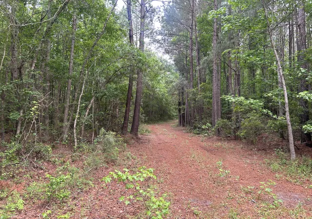 Homes for sale in Lane, SC | 0 Pineview Farm Rd, Lane, SC 29564 | MLS# 26015322