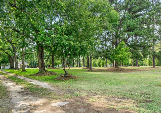Photo 4 of Single family home for sale at 3022 Cordova Rd, Cordova, SC 29039 | MLS# 26019829 | Listing updated on 2026-08-22