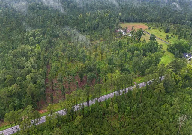 Photo 11 of Land for sale at 1035 Sc 61, Ridgeville, SC 29472 | MLS# 25023314 | Listing updated on 2026-09-01