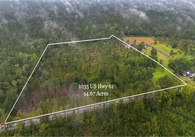Photo 1 of Land for sale at 1035 Sc 61, Ridgeville, SC 29472 | MLS# 25023314 | Listing updated on 2026-09-01