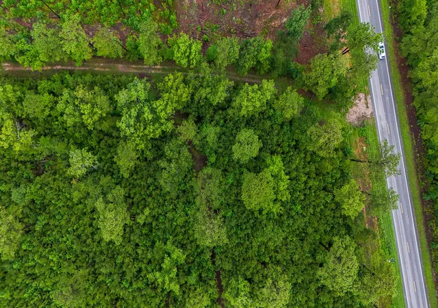 Photo 2 of Land for sale at 1035 Sc 61, Ridgeville, SC 29472 | MLS# 25023314 | Listing updated on 2026-09-01