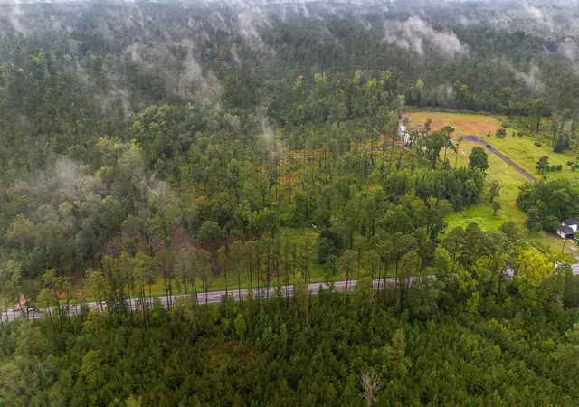 Photo 4 of Land for sale at 1035 Sc 61, Ridgeville, SC 29472 | MLS# 25023314 | Listing updated on 2026-09-01