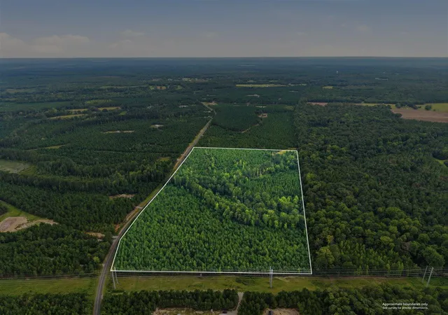 Photo 3 of Land for sale at Lot 3 Catalina Blvd, Swansea, SC 29160 | MLS# 26023191 | Listing updated on 2026-09-01