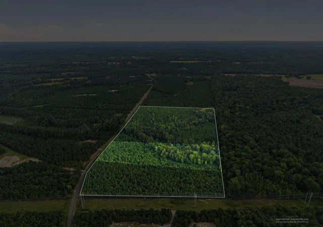 Photo 4 of Land for sale at Lot 3 Catalina Blvd, Swansea, SC 29160 | MLS# 26023191 | Listing updated on 2026-09-01