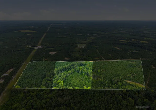 Photo 5 of Land for sale at Lot 3 Catalina Blvd, Swansea, SC 29160 | MLS# 26023191 | Listing updated on 2026-09-01