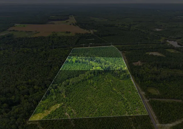 Photo 6 of Land for sale at Lot 3 Catalina Blvd, Swansea, SC 29160 | MLS# 26023191 | Listing updated on 2026-09-01