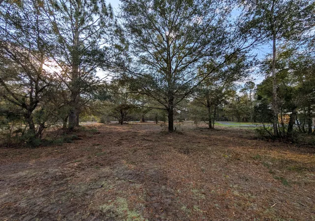 Photo 3 of Land for sale at 1020 Pinckney St, Mc Clellanville, SC 29458 | MLS# 26006914 | Listing updated on 2026-08-31