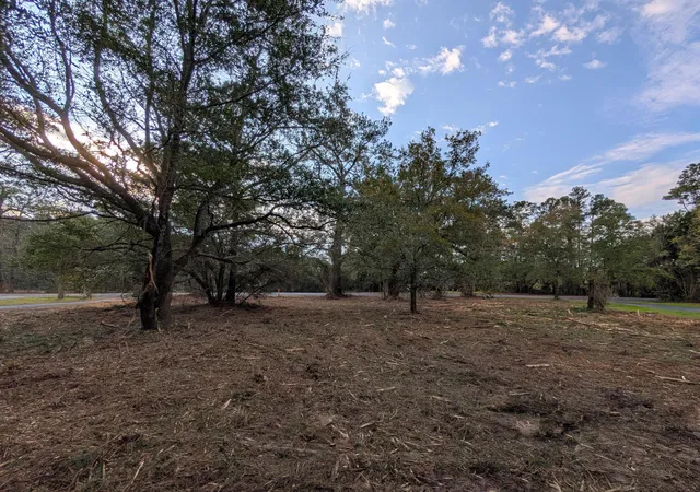 Photo 3 of Land for sale at 1020 Pinckney St, Mc Clellanville, SC 29458 | MLS# 26006914 | Listing updated on 2026-08-31