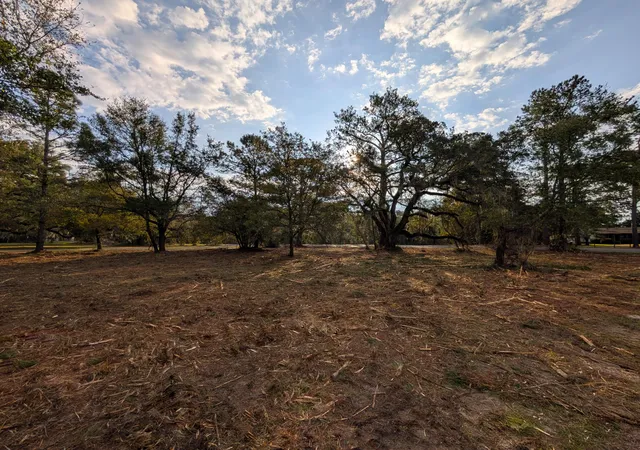 Photo 4 of Land for sale at 1020 Pinckney St, Mc Clellanville, SC 29458 | MLS# 26006914 | Listing updated on 2026-08-31