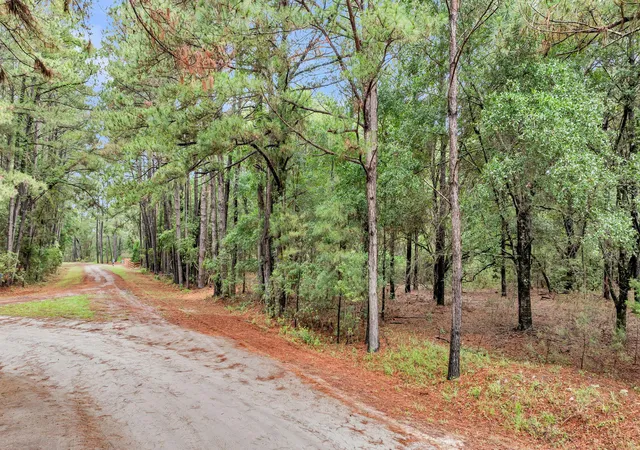 3rd image of 0 Josie Ridge Rd #Lot 23, Wadmalaw Island, SC 29487 | MLS# 26016138