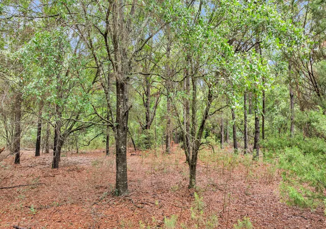 5th image of 0 Josie Ridge Rd #Lot 23, Wadmalaw Island, SC 29487 | MLS# 26016138