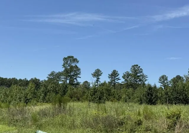 1st image of 0 Lathan Dr, Orangeburg, SC 29118 | MLS# 26023568