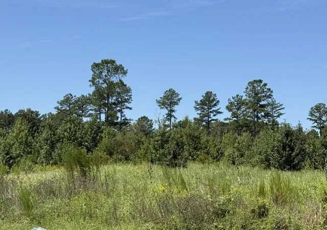 2nd image of 0 Lathan Dr, Orangeburg, SC 29118 | MLS# 26023568