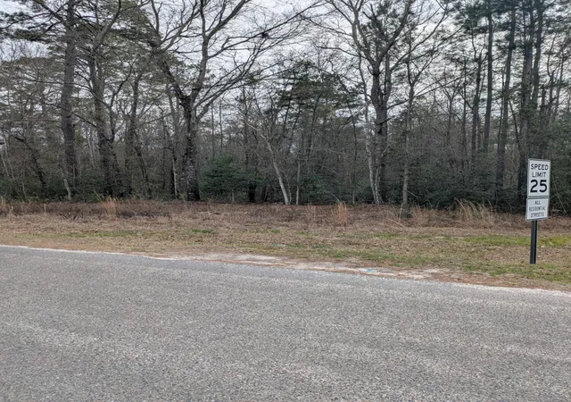 image of 0 N Jefferies Blvd, Walterboro, SC 29488 | MLS# 26005385