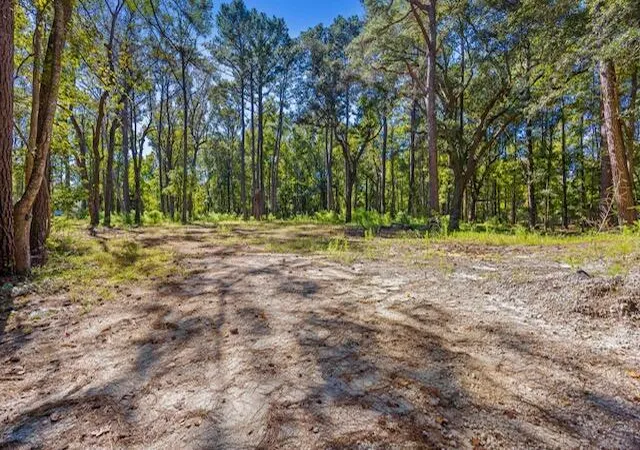 Land for sale at 4274 River Rd, Johns Island, SC 29455 | MLS# 26028834