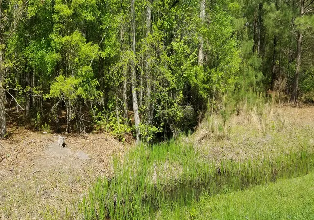 Photo 1 of Land for sale at 00 Rabb, Walterboro, SC 29488 | MLS# 26019875 | Listing updated on 2026-07-11