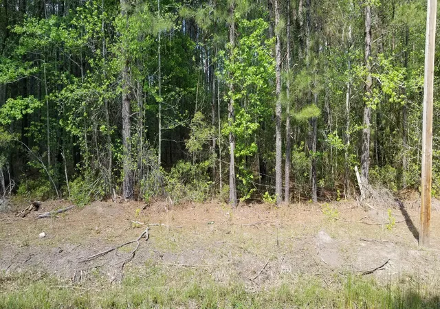 Photo 3 of Land for sale at 00 Rabb, Walterboro, SC 29488 | MLS# 26019875 | Listing updated on 2026-07-11