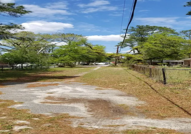 Photo 3 of Land for sale at 00 Rabb, Walterboro, SC 29488 | MLS# 26019875 | Listing updated on 2026-07-11