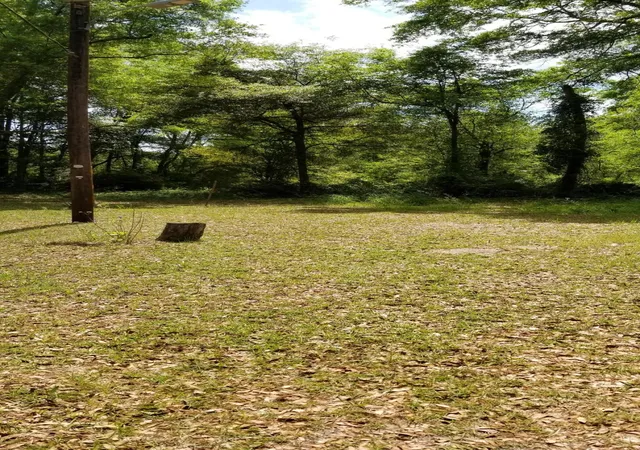 Photo 4 of Land for sale at 00 Rabb, Walterboro, SC 29488 | MLS# 26019875 | Listing updated on 2026-07-11