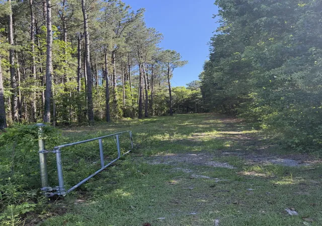 3rd image of 3125 State Rd, Summerville, SC 29486 | MLS# 26016295