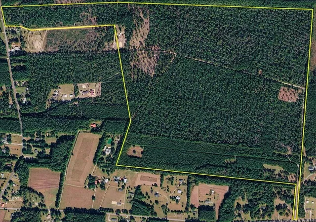 Photo 2 of Land for sale at 00 Rice Rd, Ridgeville, SC 29472 | MLS# 26015511 | Listing updated on 2026-08-18