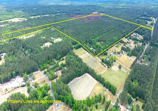 Photo 3 of Land for sale at 00 Rice Rd, Ridgeville, SC 29472 | MLS# 26015511 | Listing updated on 2026-08-18
