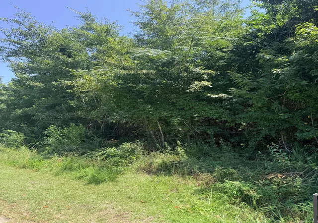 1st image of 00 Society Rd, Mc Clellanville, SC 29458 | MLS# 26023890