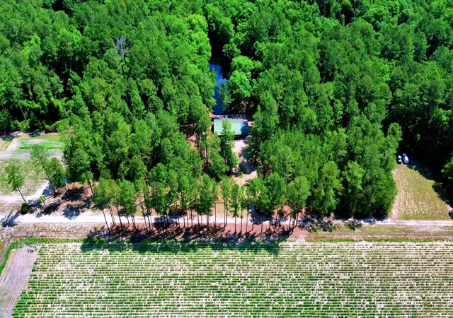 Homes for sale in Lodge, SC | 1970 Cross Swamp Rd, Lodge, SC 29082 | MLS# 26018118