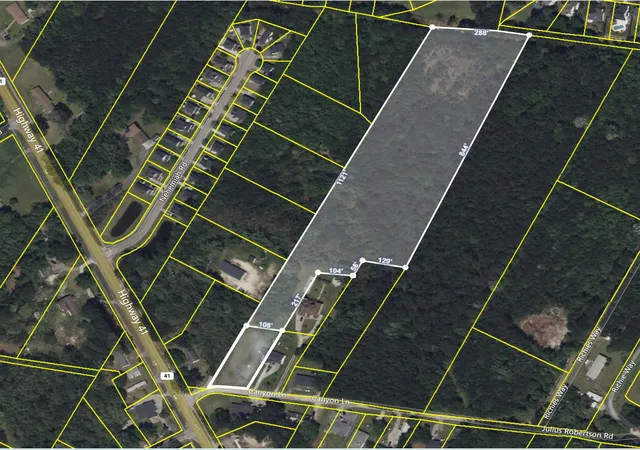 Photo 3 of Land for sale at 0 Highway 41, Mount Pleasant, SC 29466 | MLS# 25029472 | Listing updated on 2026-03-31