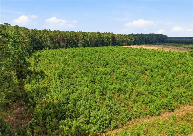 Homes for sale in Cottageville, SC | 00 Adams Rd, Cottageville, SC 29435 | MLS# 26020127