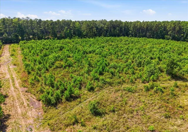 Homes for sale in Cottageville, SC | 00 Adams Rd, Cottageville, SC 29435 | MLS# 26020127