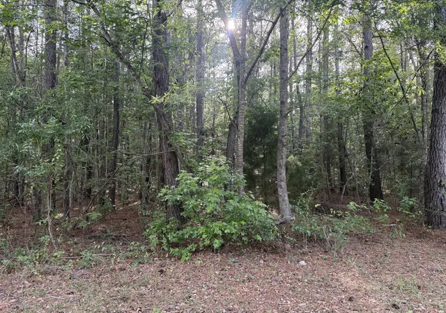 Homes for sale in Huger, SC | 00 Sable Ln, Huger, SC 29450 | MLS# 26015103