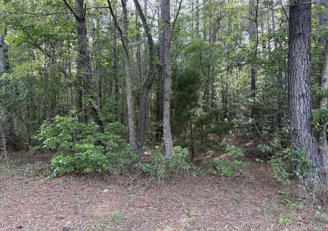 Homes for sale in Huger, SC | 00 Sable Ln, Huger, SC 29450 | MLS# 26015103