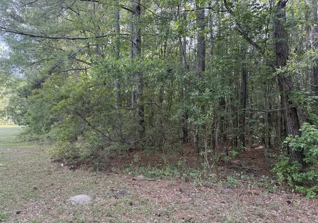 Photo 3 of Land for sale at 00 Sable Ln, Huger, SC 29450 | MLS# 26015103 | Listing updated on 2026-08-18