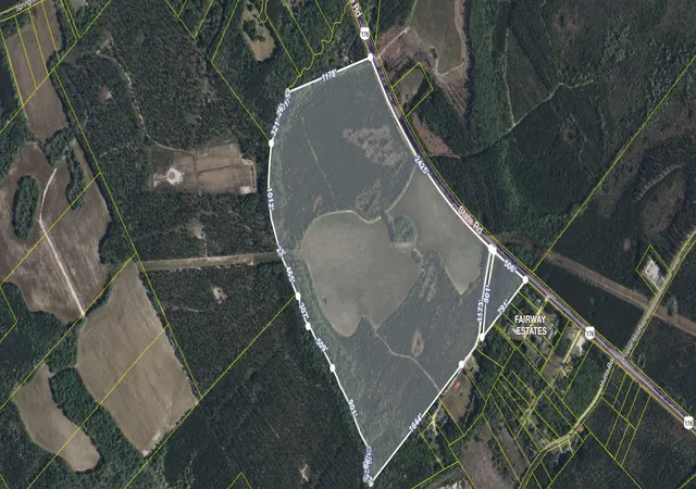 Photo 1 of Land for sale at 4391 Highway 176, Ridgeville, SC 29472 | MLS# 25013683 | Listing updated on 2026-01-20