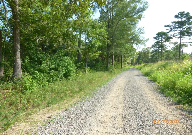 Photo 3 of Land for sale at 0 Big Woods Rd, Pineville, SC 29468 | MLS# 25020238 | Listing updated on 2026-07-10