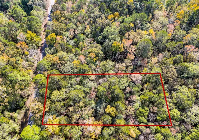 33rd image of 107 Weir St, Summerville, SC 29483 | MLS# 26021838